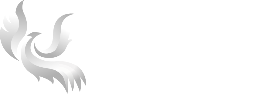 Fénix Contadores